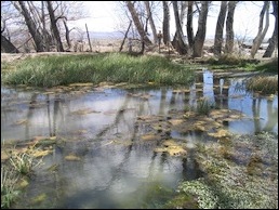 Snake Valley